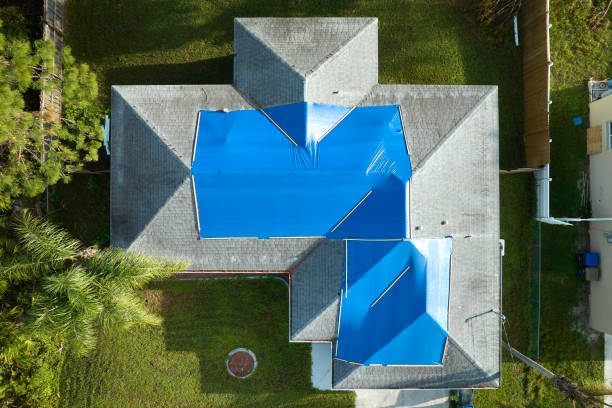 Best Rubber Roofing (EPDM, TPO)  in Denmark, SC